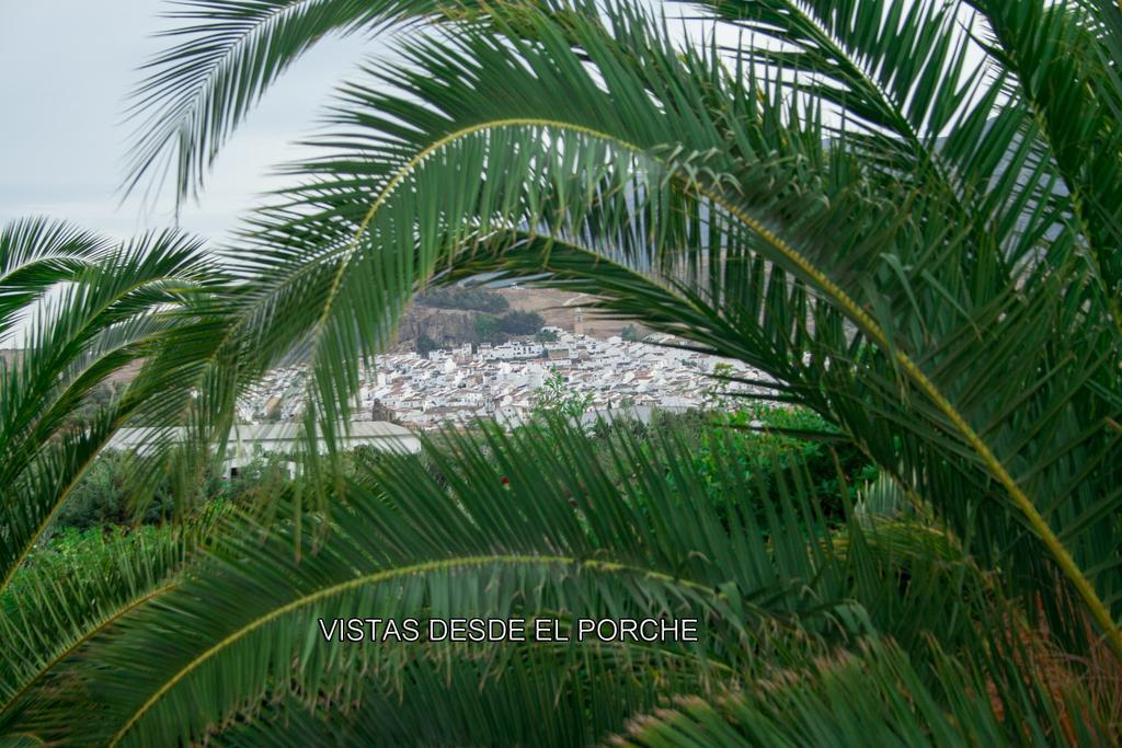 Finca Villa Rey Ardales Exteriér fotografie
